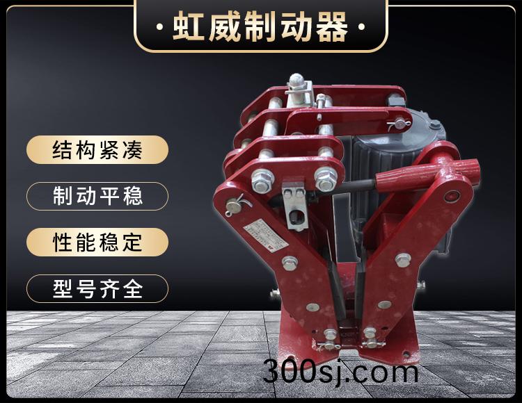 YPZ2-IV-V-VI型電力(li)液壓盤式(shi)製動器