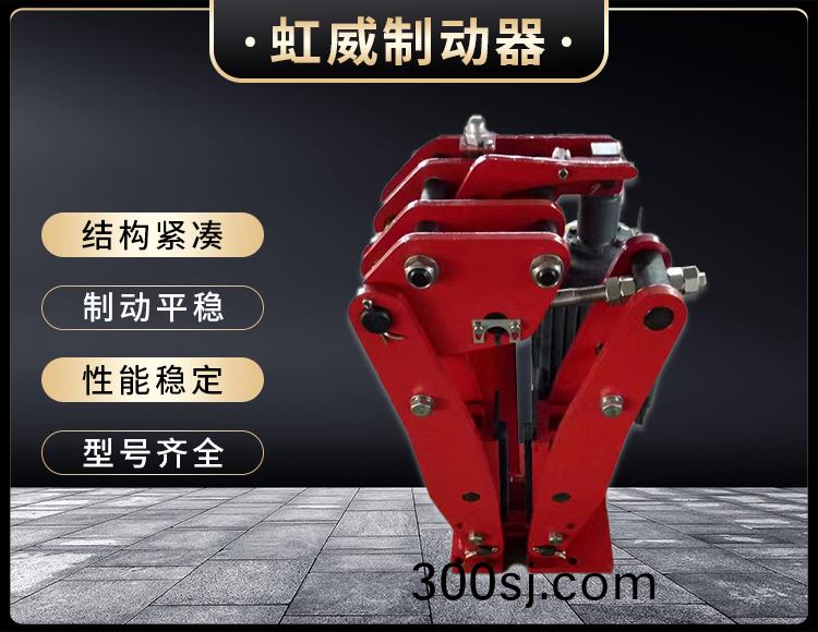 YPZ2-I-II-III型電(dian)力液壓盤式製動器